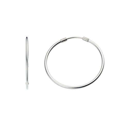 Creolen aus Titan »100120«