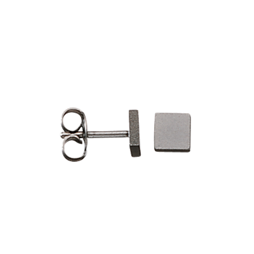 Ohrstecker aus Titan »100161«